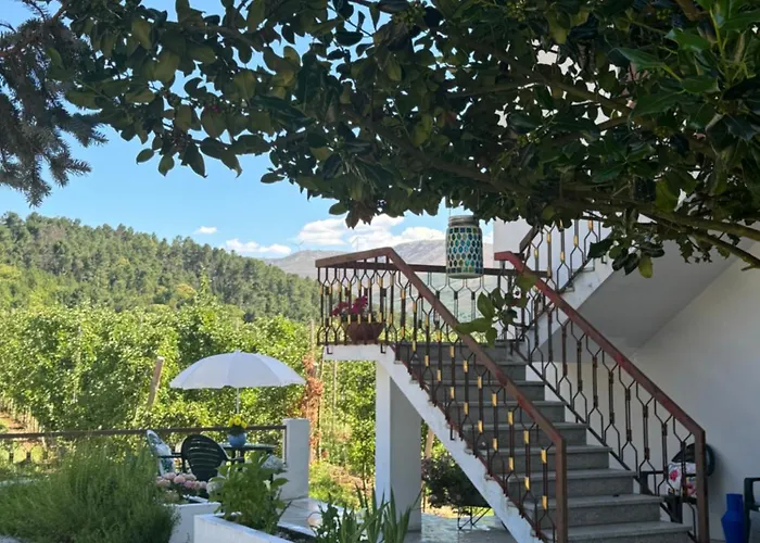 Casa Vicente